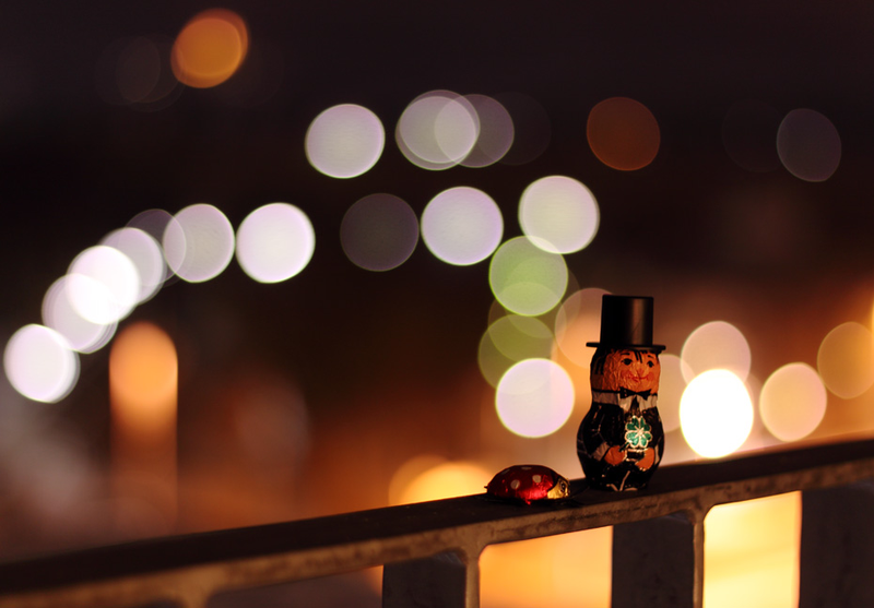 Illustration for article titled Shooting Challenge: Bokeh, Gallery 3